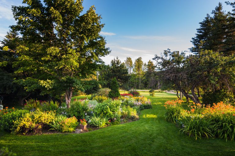 Beautiful Front Yard Garden in Edmonton