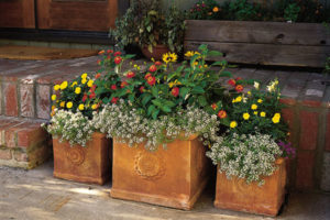 container-gardens