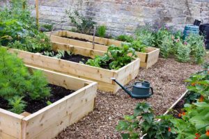 wooden-raised-beds